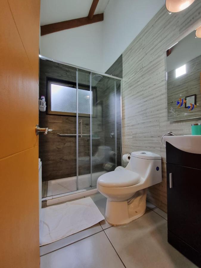 Hostel Torobayo Valdivia Zewnętrze zdjęcie