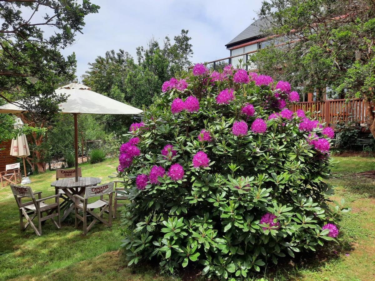 Hostel Torobayo Valdivia Zewnętrze zdjęcie