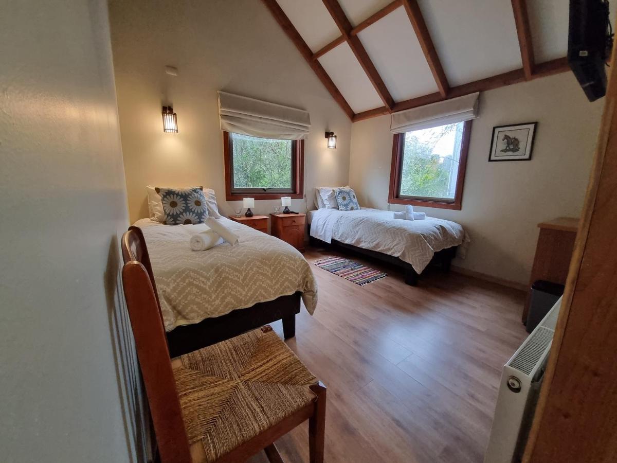 Hostel Torobayo Valdivia Zewnętrze zdjęcie