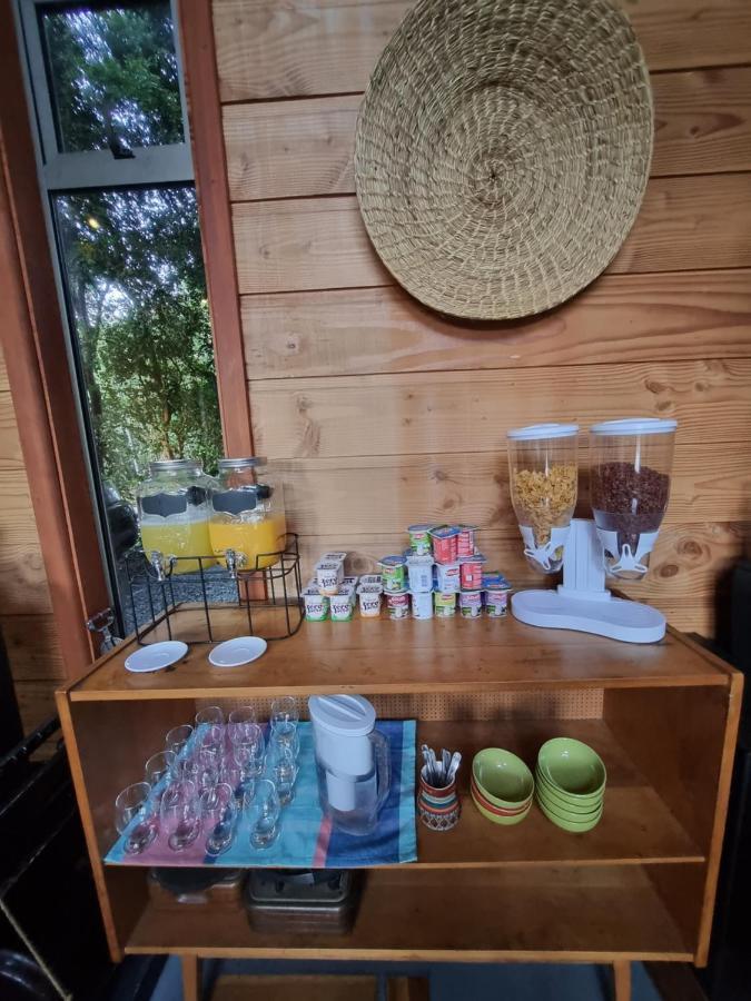 Hostel Torobayo Valdivia Zewnętrze zdjęcie